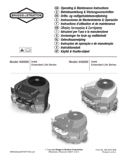 Scarica PDF - Briggs & Stratton