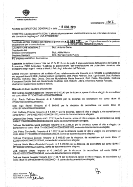 Deliberazione n.1317 del 08/08/2013
