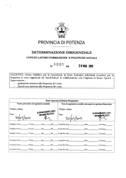 Determinazione Dirigenziale n° 1001 del 20/05/2013