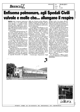 Scarica il file allegato