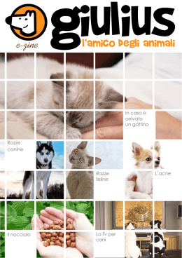 l`amico degli animali