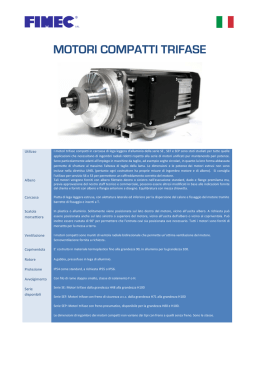 MOTORI COMPATTI TRIFASE