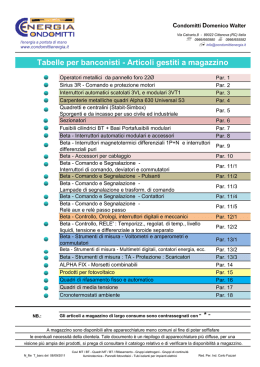 Articoli gestiti a magazzino