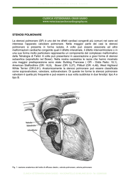 Brochure della stenosi polmonare