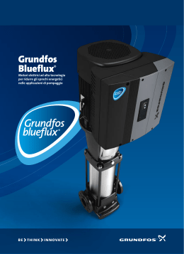 Grundfos Blueflux® brochure - Meet the energy challenge NOW