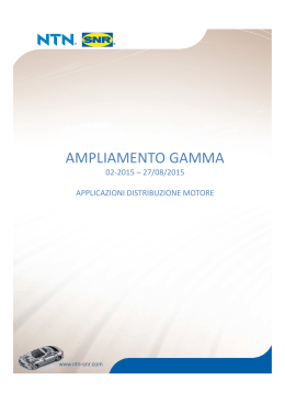 Allargamento gamma 2.2015-Distribuzione motore - Ntn