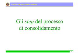 18. Gli step del processo di consolidamento (pdf, it, 118 KB, 4/2/11)