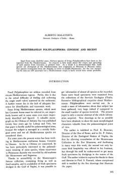 MEDITERRANEAN POLYPLACOPHORA CENOZOIC AND RECENT