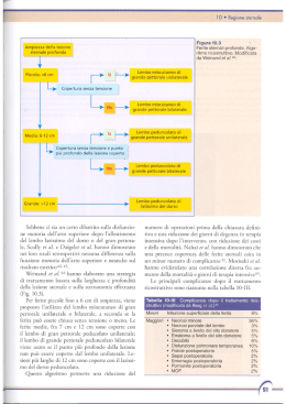 pagine di esempio - Libreria Universo
