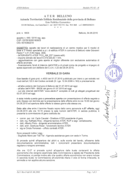 verbale di gara / aggiudicazione provvisoria