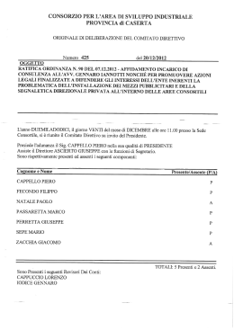 CONSORZIO PER L`AREA DI SVILUPPO INDUSTRIALE