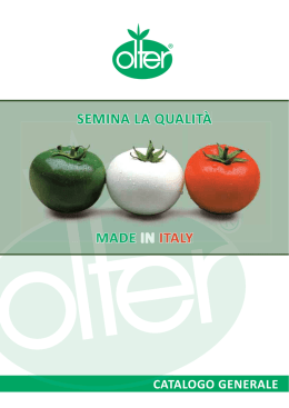 novit&agrave;