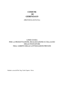 Linee guida per la progettazione, la realizzazione ed il collaudo di