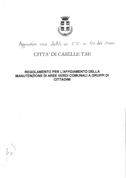 Regolamento per l`affidamento della