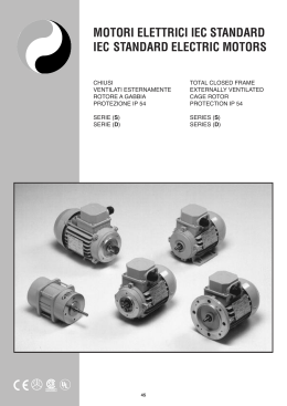 iec standard electric motor