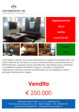 Planimetria - Montecarlo Real Estate Napoli Immobiliare