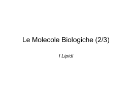 Le Molecole Biologiche (2