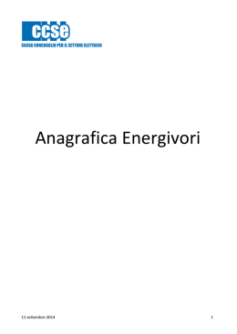 Manuale Energivori 2014 - Cassa Conguaglio per il Settore Elettrico