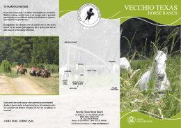 Brochure VecchioTexas
