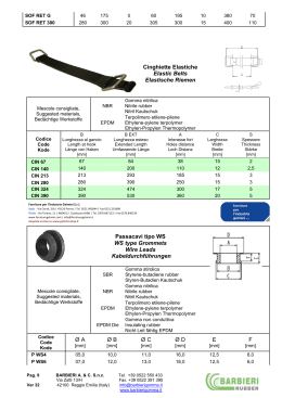 CIN Gomma Catalogo - Forniture per l`industria Gelmini