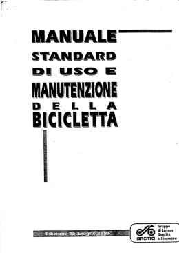 manuale standard2