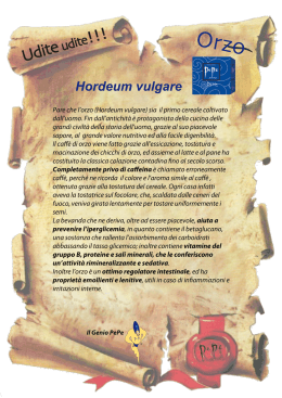 Pare che l`orzo (Hordeum vulgare) sia il primo cereale coltivato dall