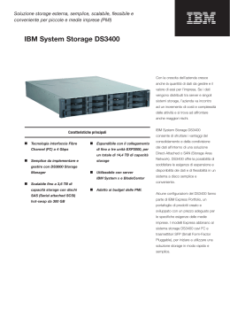 IBM System Storage DS3400