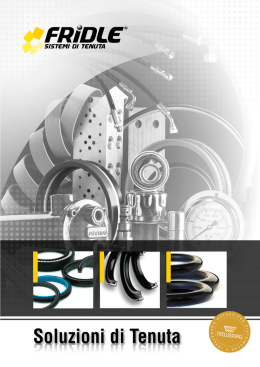 Soluzioni di Tenuta - Fridle Group S.r.l.