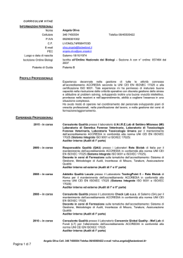 curriculum vitae