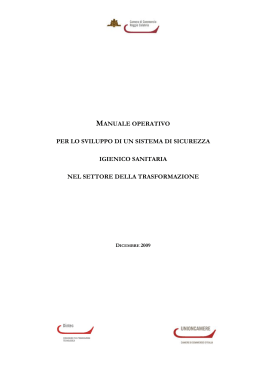 manuale operativo per lo sviluppo di un sistema di sicurezza