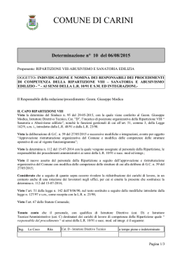 Determinazione n° 10 del 06/08/2015