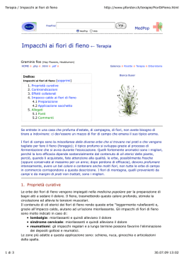 Terapia / Impacchi ai fiori di fieno