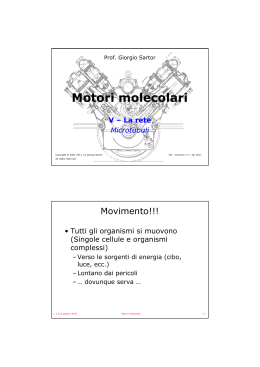 Motori molecolari