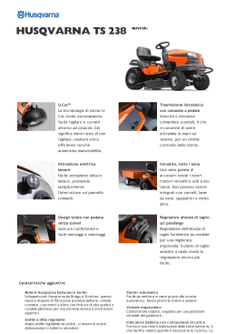 scheda tecnica husqvarna ts 238