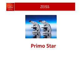 Primo Star - sinergieanalitiche.it