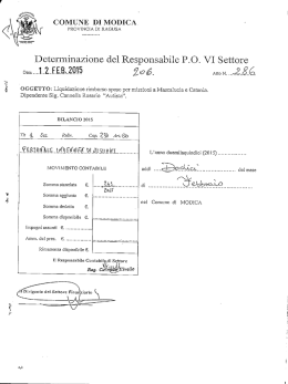 Determinazione del Responsabile P.O. VI Settore