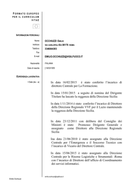 curriculum vitae - Corpo Nazionale dei Vigili del Fuoco
