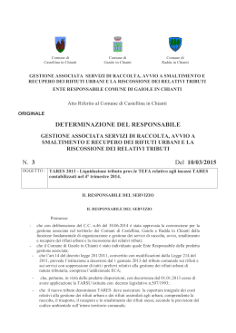 DETERM INAZIONE DEL RESPONSABILE N. 3 Del