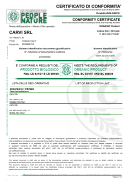 carvi srl certificato di conformita` conformity certificate