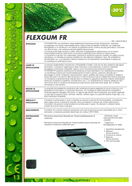 FLEXGUM FR - Novaglass