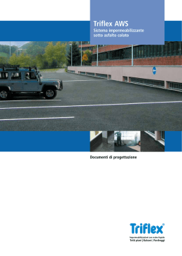 Triflex AWS Documenti di progettazione