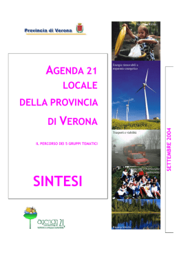 Scarica il documento - Provincia di Verona