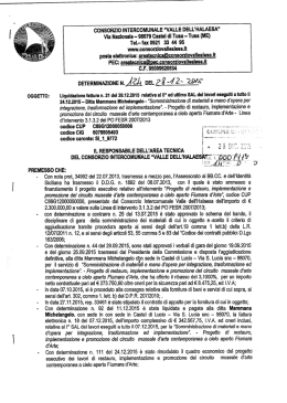 Determinazione n° 124