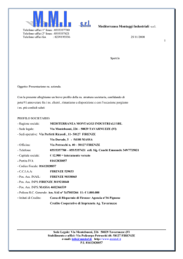 Mediterranea montaggi industriali srl