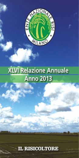 XLVI Relazione Annuale Anno 2013