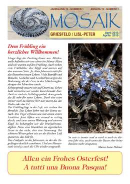 Mosaik - Stiftung Griesfeld