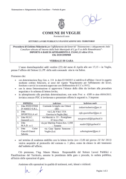 VERBALE GARA AULA CONSILIARE