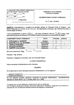 Deliberazione G.M. n. 19 del 12.02.2013