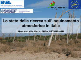 Lo stato della ricerca sull`inquinamento atmosferico in Italia
