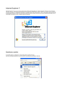 Internet Explorer 7 Gestione cookie